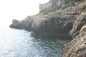 La Figuera