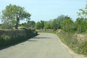Rundreise Mallorca