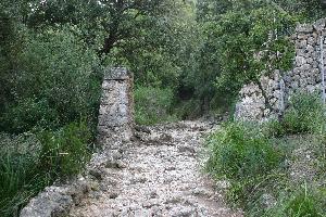Valldemossa