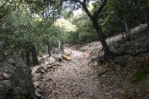 Valldemossa