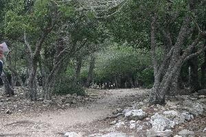 Valldemossa