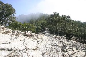 Valldemossa
