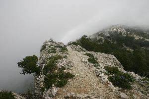 Valldemossa