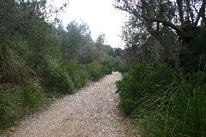 Valldemossa