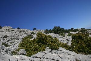 Wanderung auf den Massanella